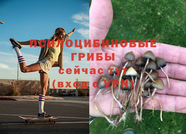 скорость Баксан