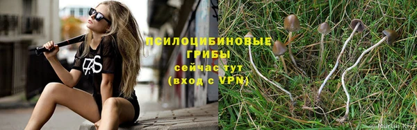скорость Баксан