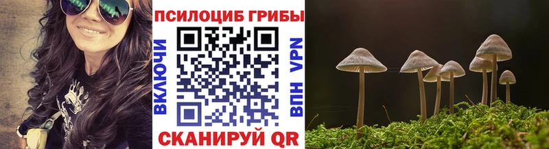 продажа наркотиков  блэк спрут   Галлюциногенные грибы Magic Shrooms  Калуга 